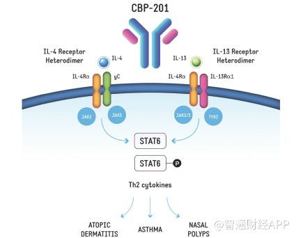 核心产品未上市即面临竞争扩围，康乃德生物拿什么说服华尔街
